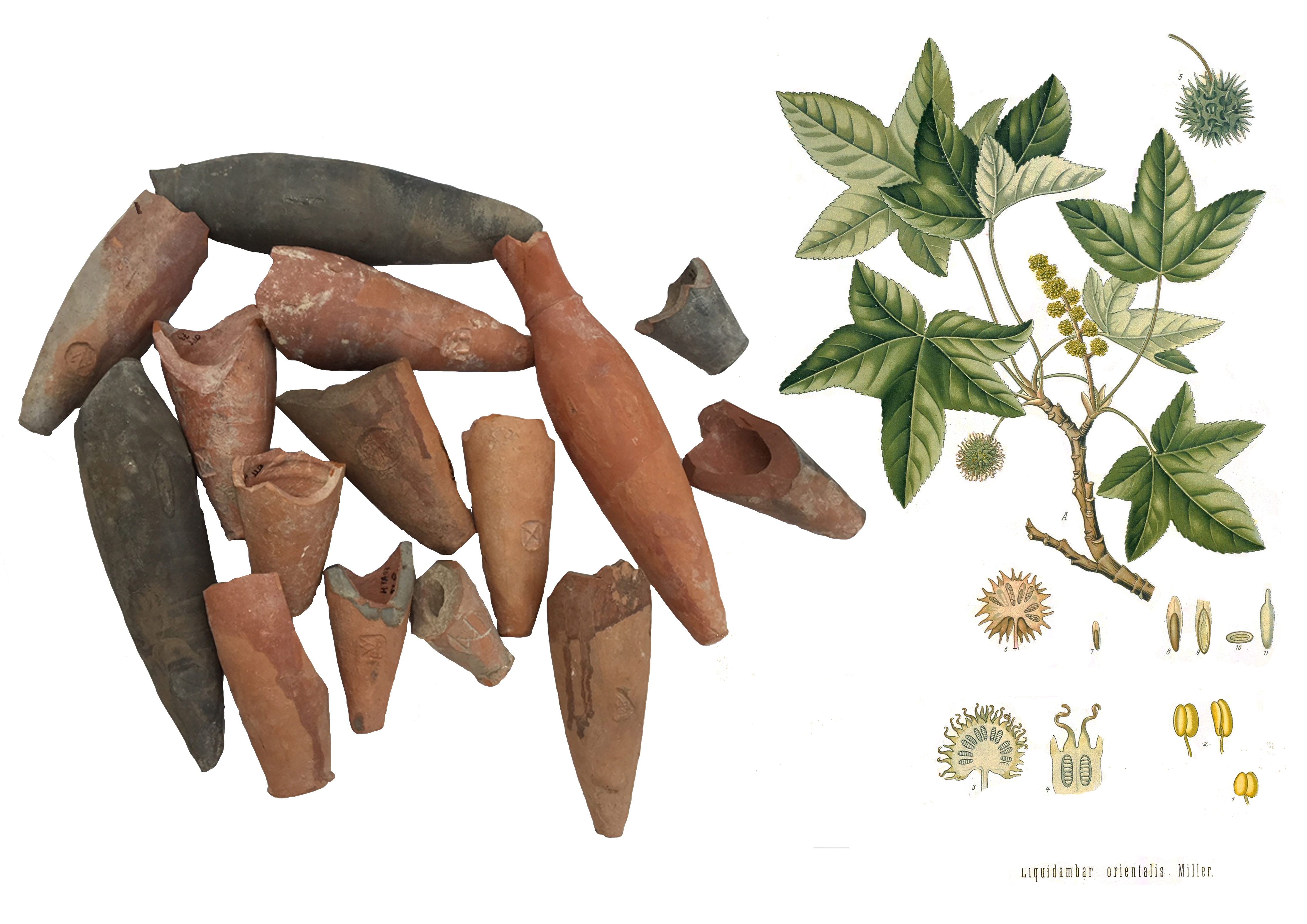 Medicina e cura nell’antichità